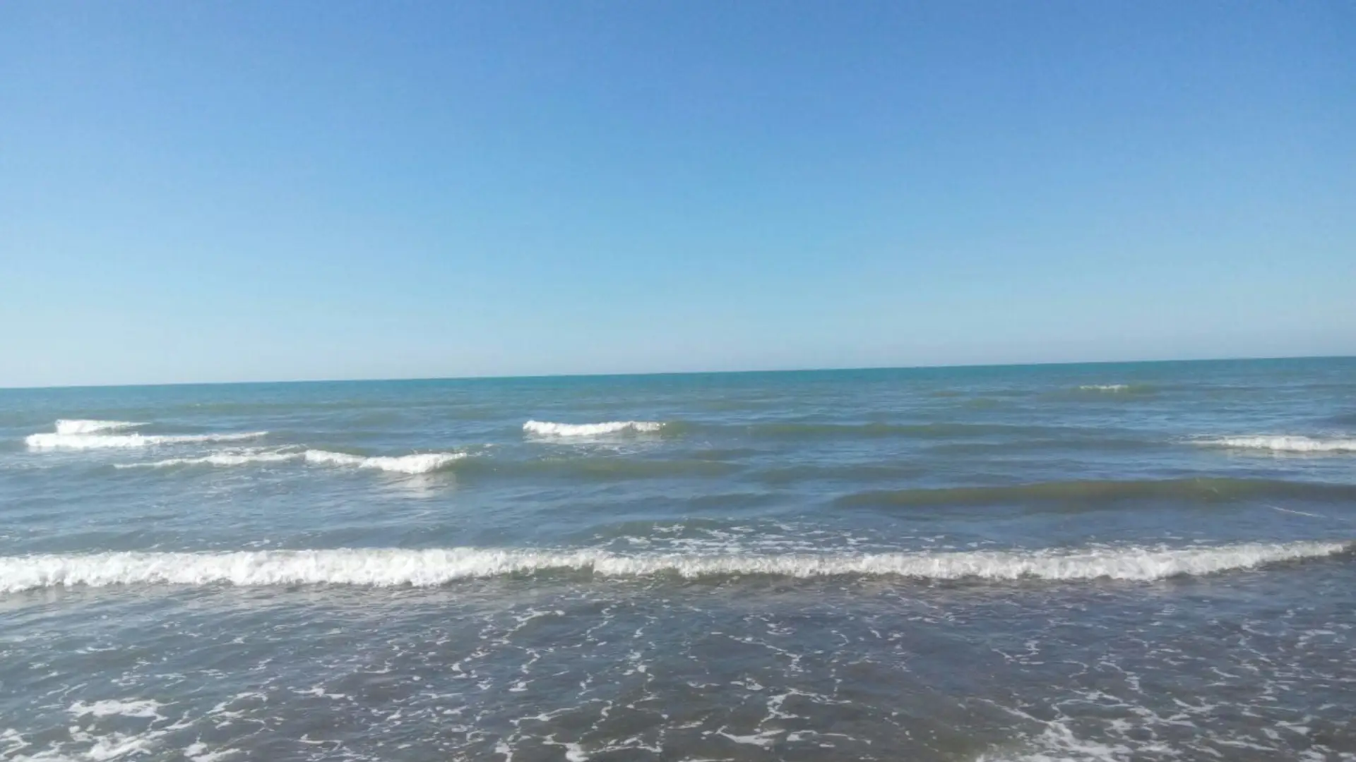 سواحل دریای خزر