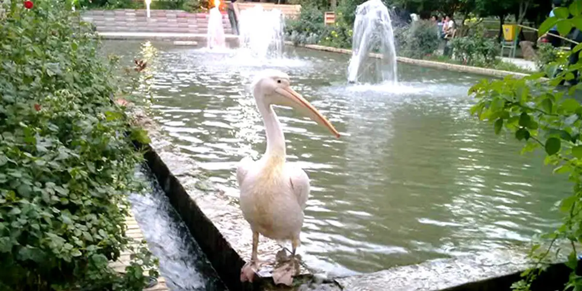 باغ گلشن طبس