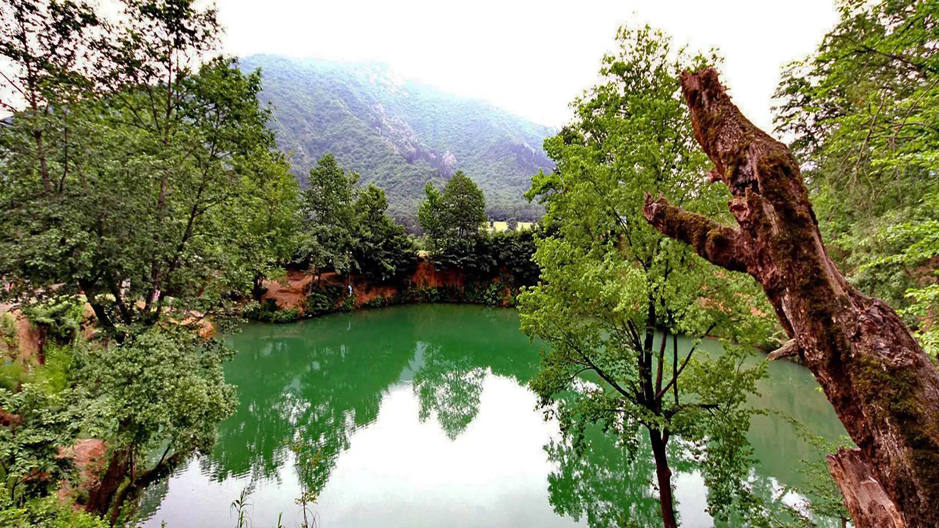 گلستان