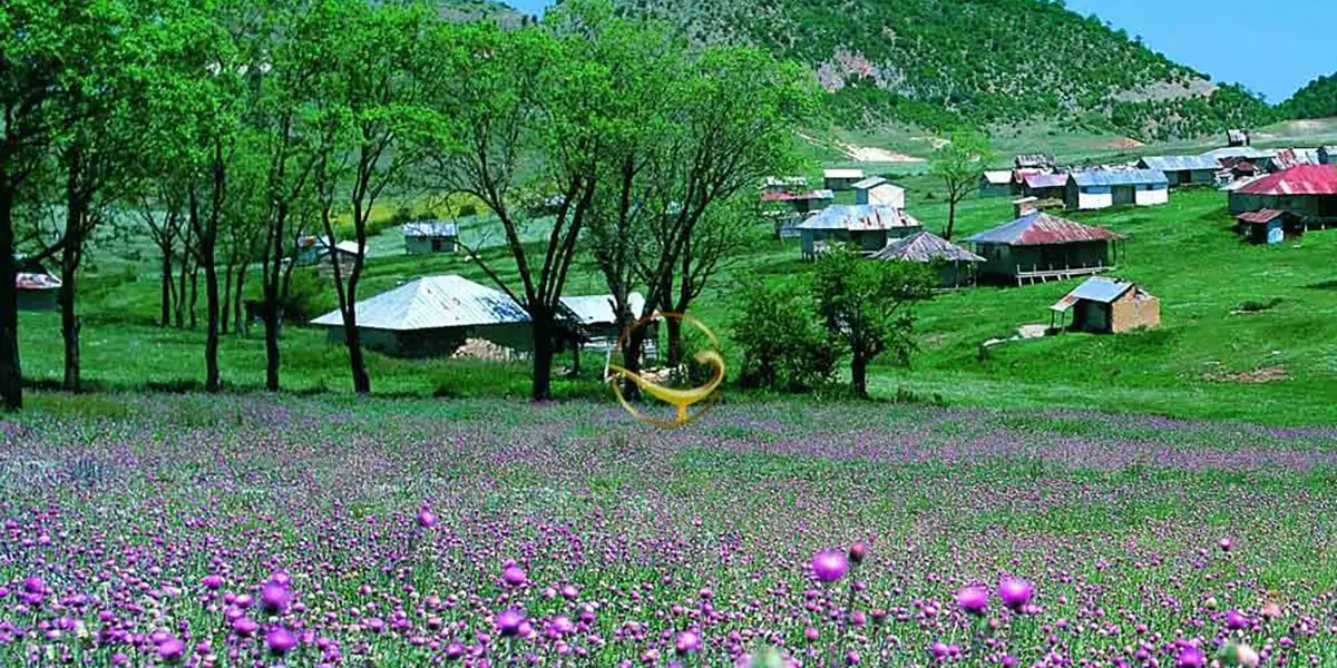 گلستان