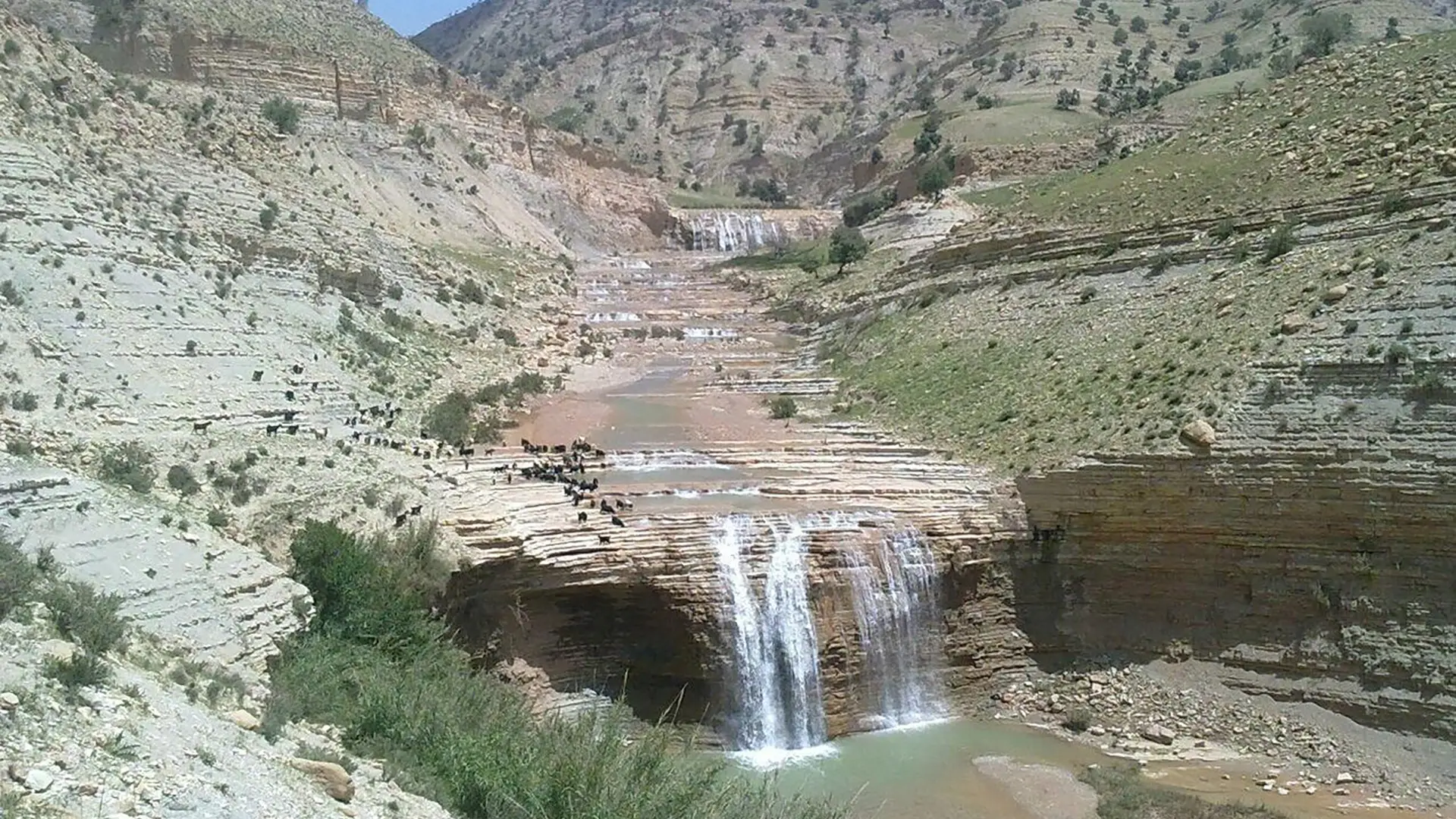 ایلام