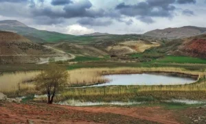 چمن متحرک چملی پ