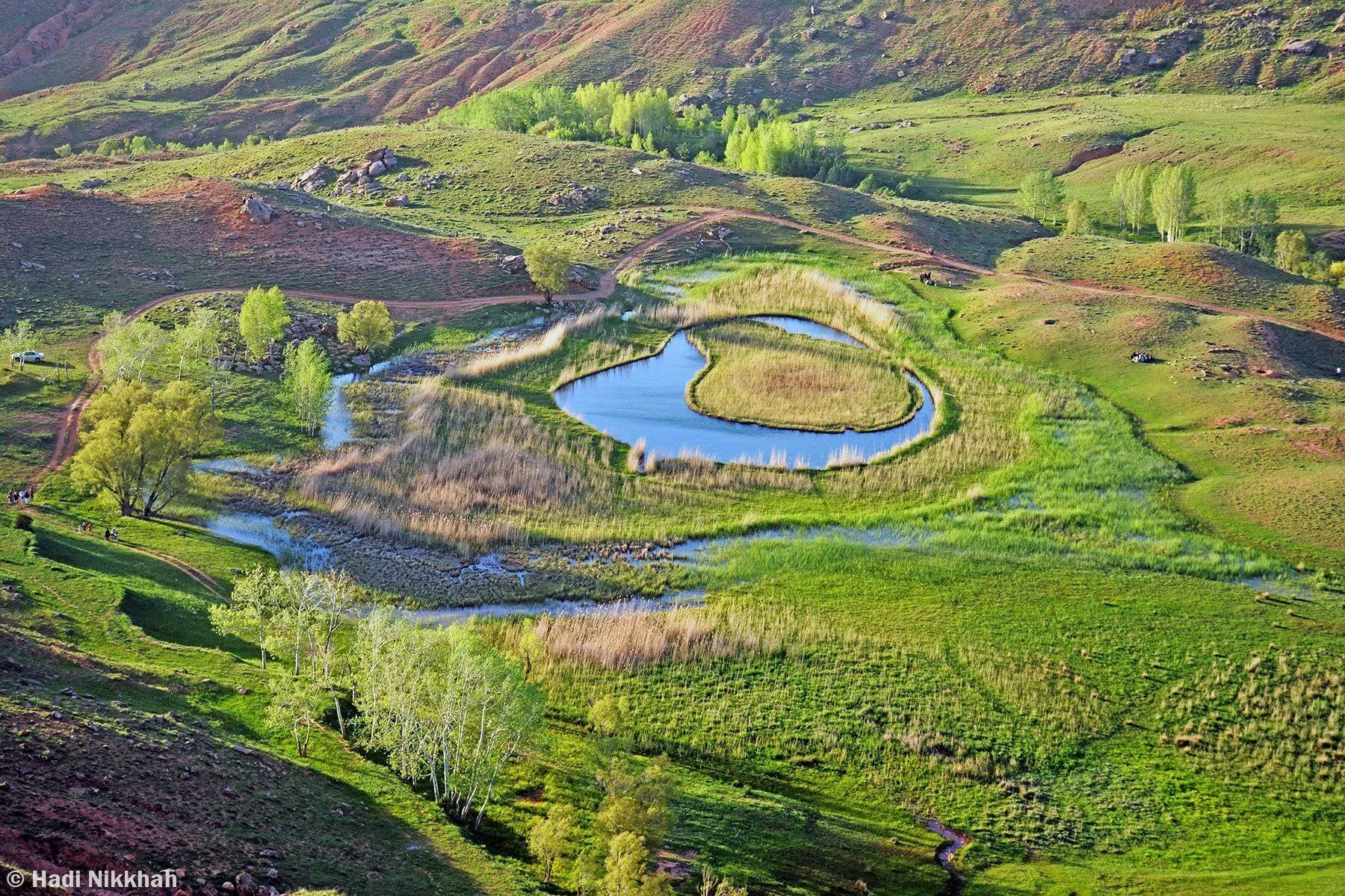 چمن متحرک چملی